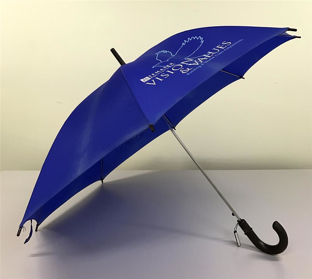Vision & values : building a world class polytechnic : umbrella