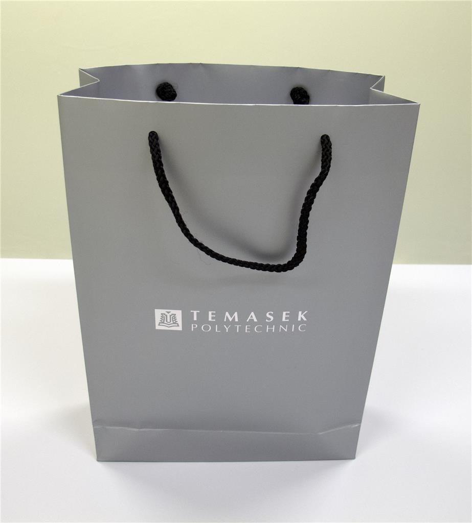 Temasek Polytechnic corporate paper bag