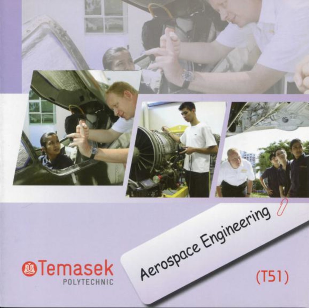 Diploma brochure 2011. Temasek Engineering School