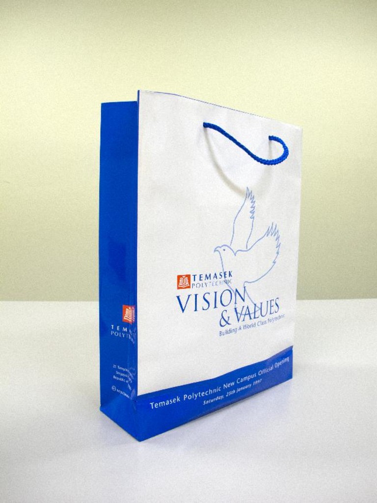 Vision & values : building a world class polytechnic : paper bag