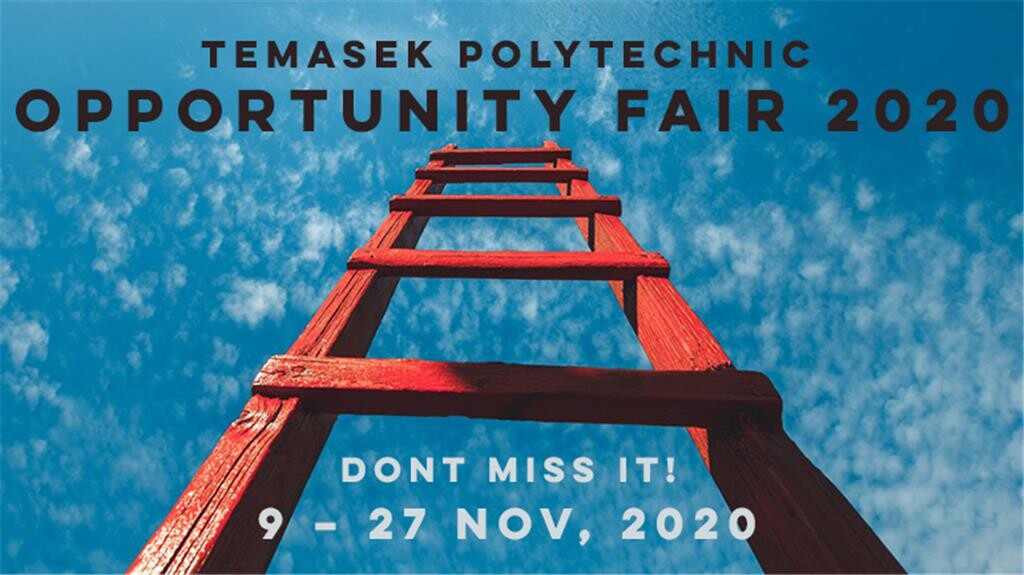 TP news. 10 Nov. 2020. TP Opportunity Fair